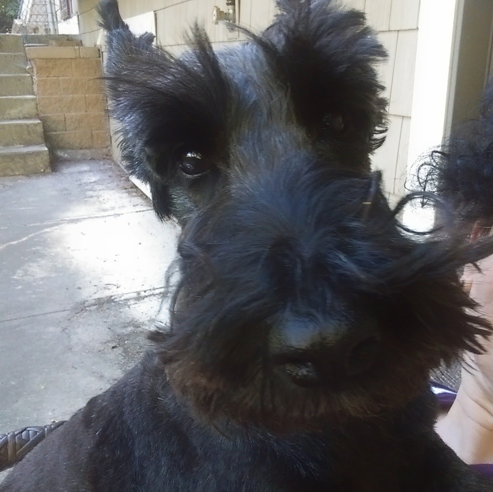 Meet your Posher, Robbie